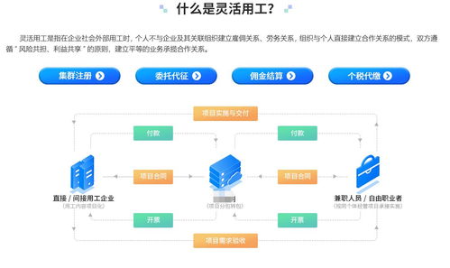 灵活用工系统开发 税源地